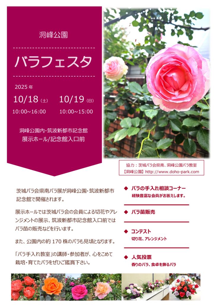 2025年10月18日（土）・19日（日）「洞峰公園バラフェスタ」開催の