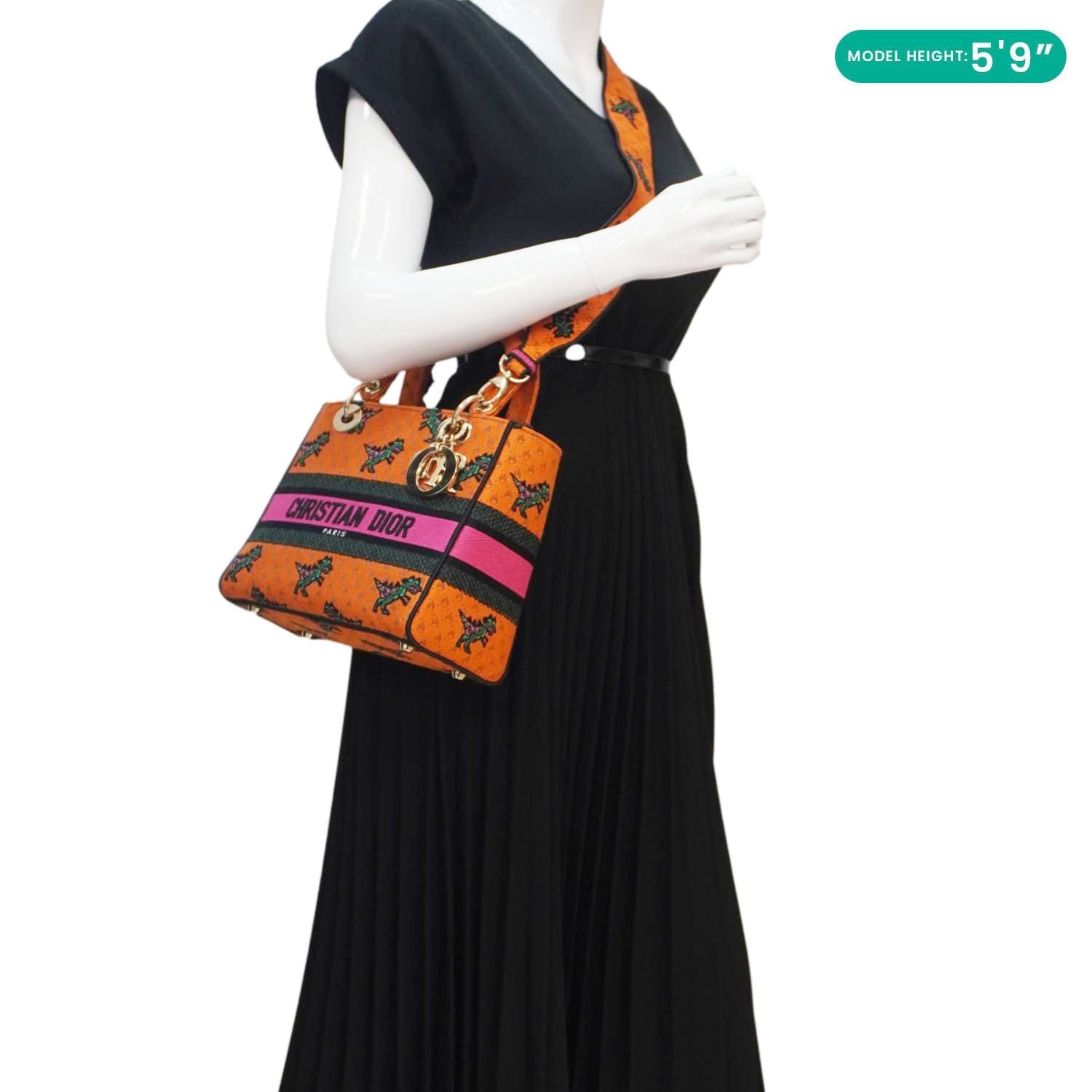 CHRISTIAN DIOR Lady Dior D-Lite Medium Dino Embroidered Shoulder Bag O