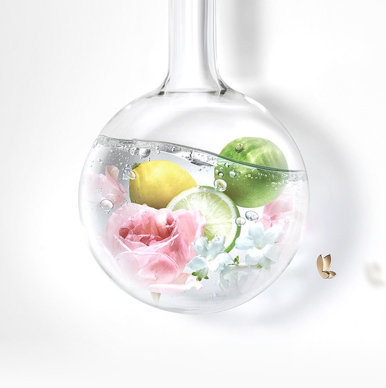 マルセル ワンダース コレクション 2025 | DECORTÉ（コスメデコルテ