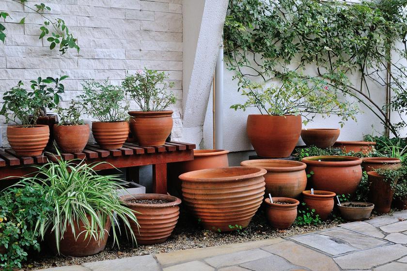 僕のお気に入りのテラコッタ鉢コレクション - 「風景」をつくる