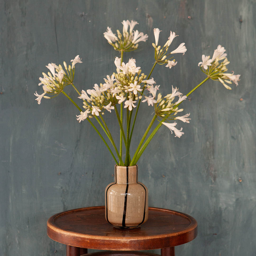 DULTON ONLINE SHOP | LINEA VASE IVORY(IVORY): インテリア雑貨