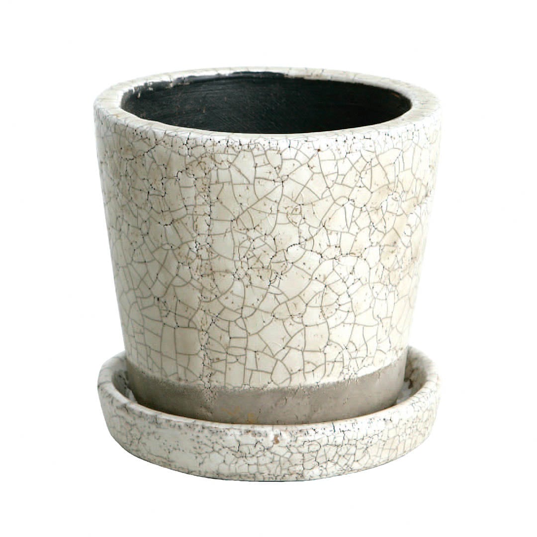 DULTON ONLINE SHOP | COLOR GLAZED POT IVORY(4号 IVORY): ガーデン