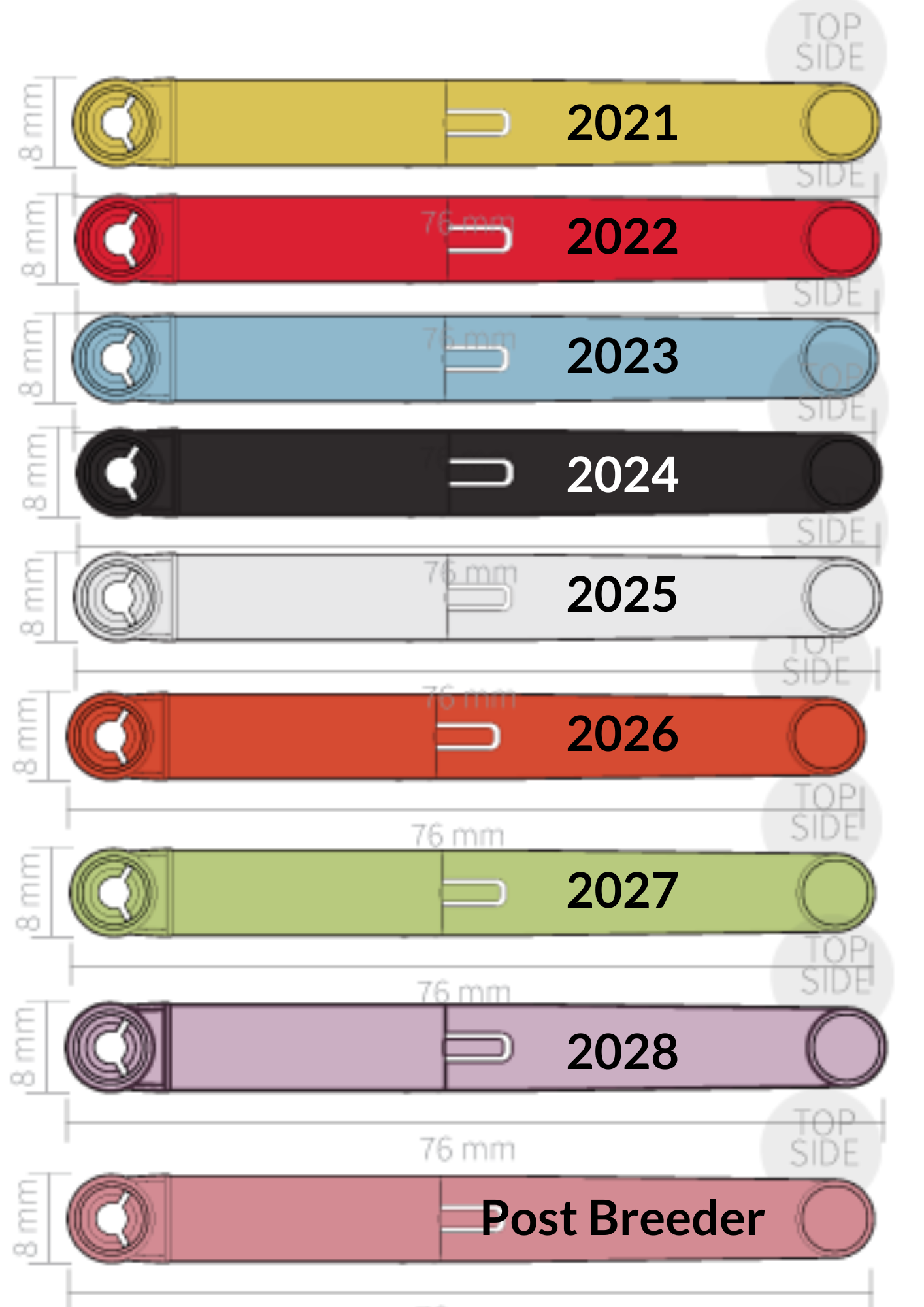 XWAG PRODUCTS X-TAGE PERPLE RESIN×WALNUT Purple Rain