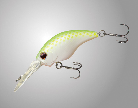 EVERGREEN（エバーグリーン インターナショナル） – 新製品情報