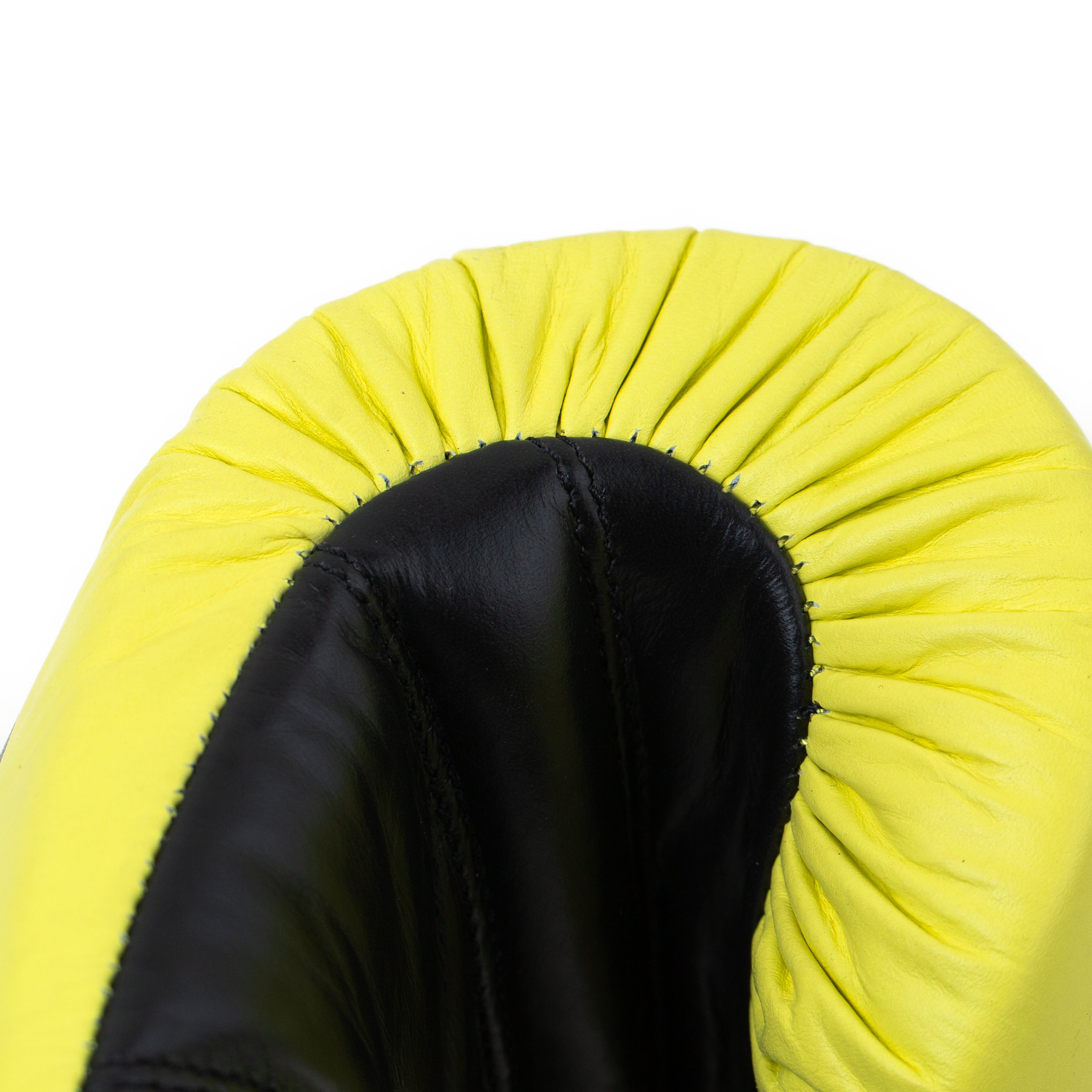 Powerlock 2R Pro Fight Gloves | Everlast