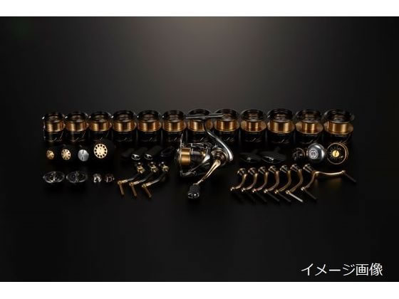 SLPW EX LT4000S スプール2 通販【フォレストウェイ】