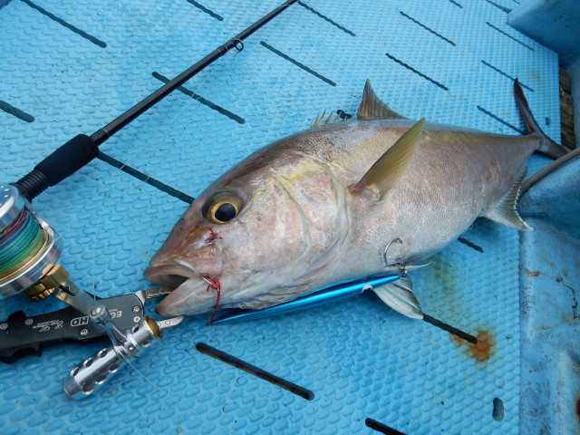 リョウ様 FCLLABO FCB64Jig リョウ様 FCLLABO FCB64Jig FCB64Jig