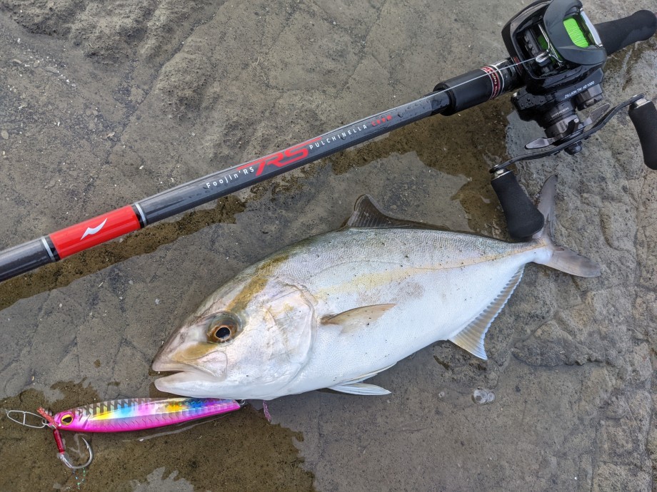 続・めぐりあい】 『Foojin'RS』ベイトモデルなら使えるワケ