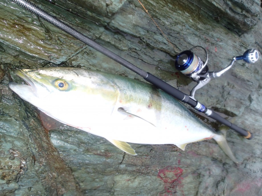 DAIWA SWチーム】 ショアスパルタン100H