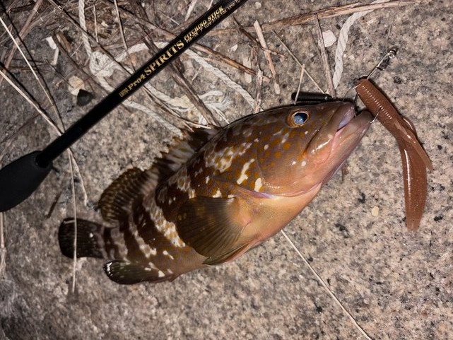 ルアー追想記】 UFMウエダ：PRO4スピリッツ・ピッチングスティック