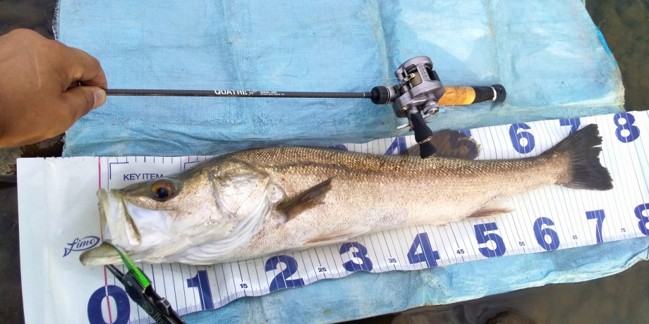 ブライトリバー シーバス用グリップ 富士グリップ シーバス ブラック