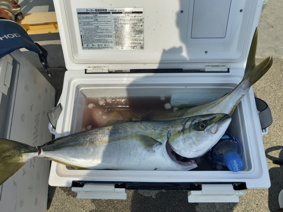 海の技術者(仮)】 ブラスト SLJ エアポータブル(63MS-S)でもイナダ取れる！