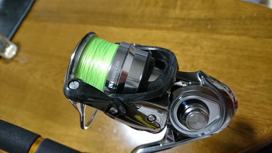 花釣風月】 New ダイワ 18イグジスト LT4000-CXH インプレ (グローブ