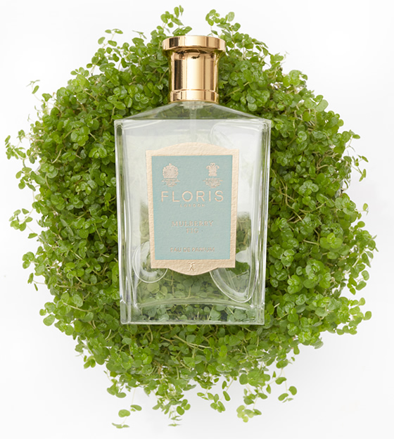 EAU DE PARFUM MULBERRY FIG | FLORIS 創業1730年-英国王室御用達