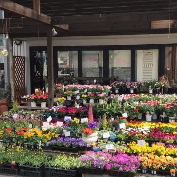 東京都国分寺市の花屋「グリーンハウス谷合」をご紹介 | フラワー