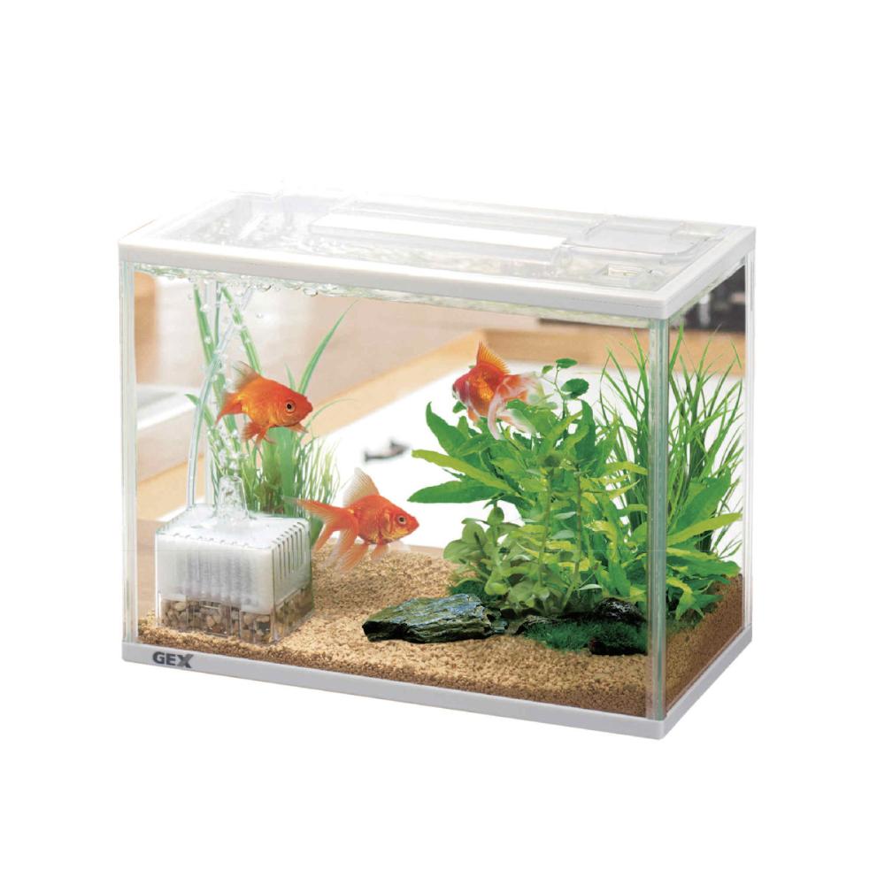 Petami スペースアクアスリム300 水槽セット 10L の通販