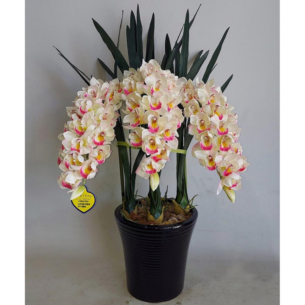 造花 シンビジューム 3本立ち 白ピンク の通販 | ホームセンター