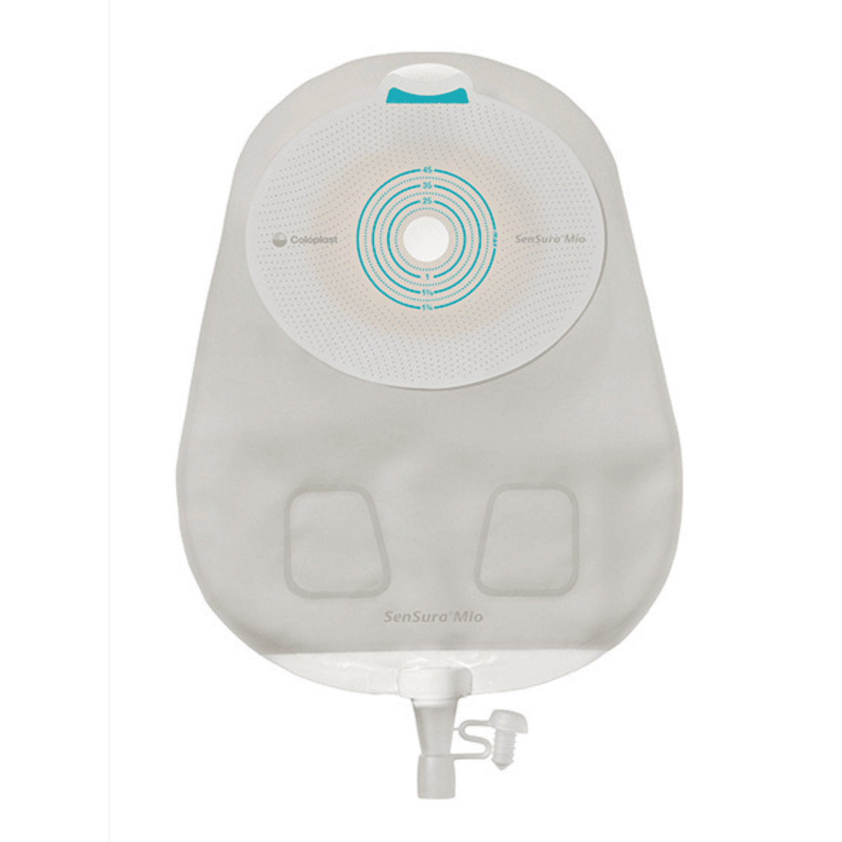 センシュラ ミオ1ウロ 10枚入(10586 フリーカット10-45mm 透明): 通常