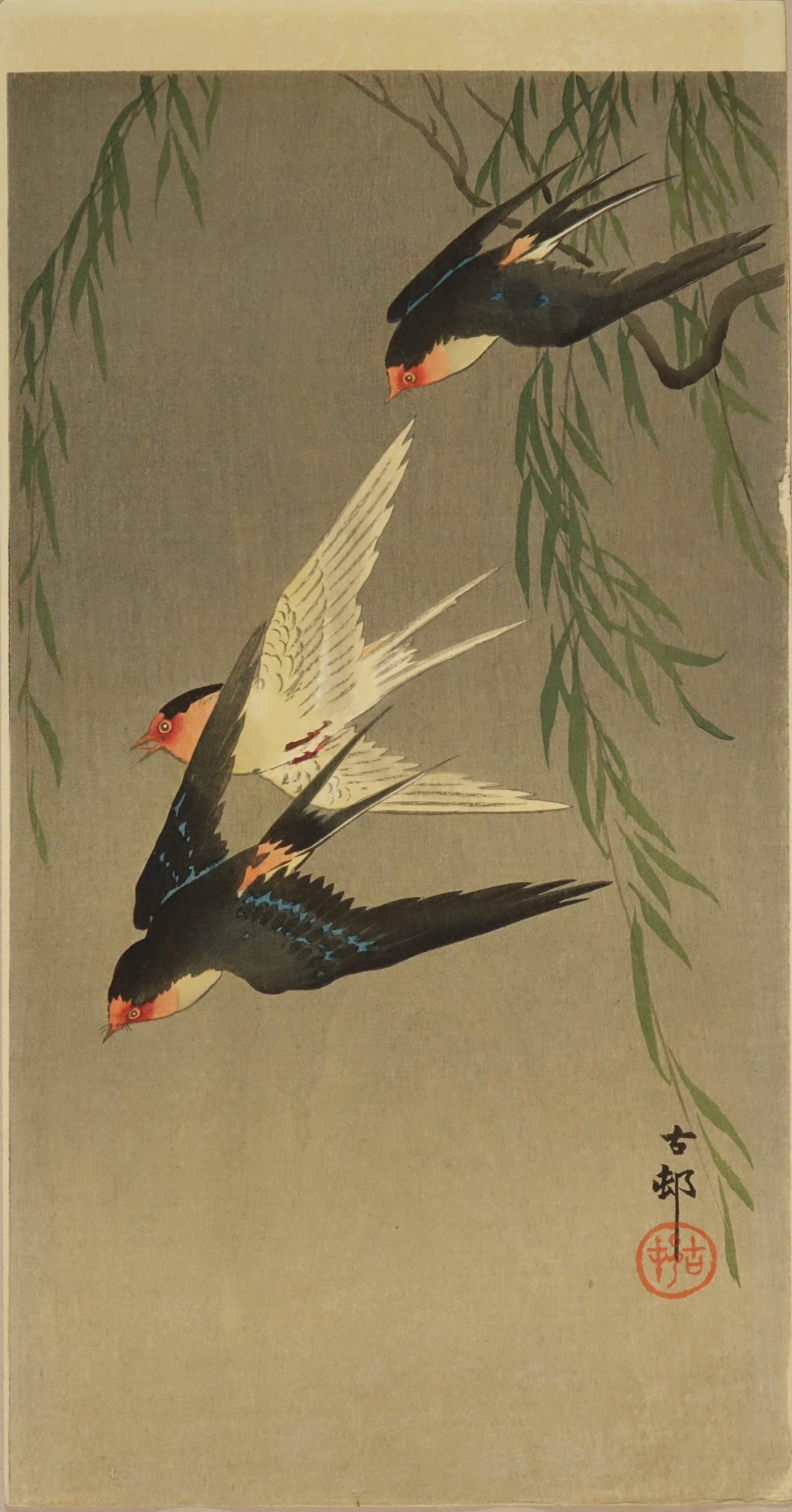 小原古邨 燕と柳 | 浮世絵 | 原書房 神田神保町