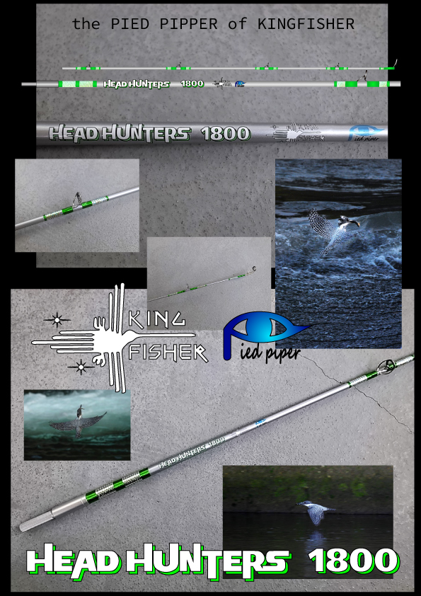 HEAD HUNTERS 1800 KING FISHER PiedPipper (キングフィッシャーパイパイ)
