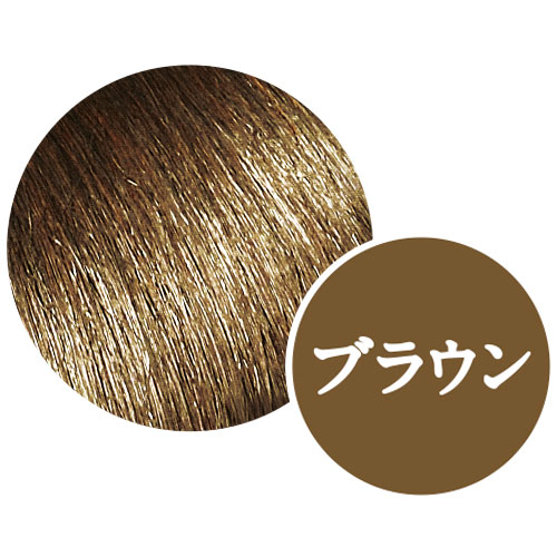 ヘアカラートリートメント（ブラウン）お試し60g 1本（60g、毛染め用