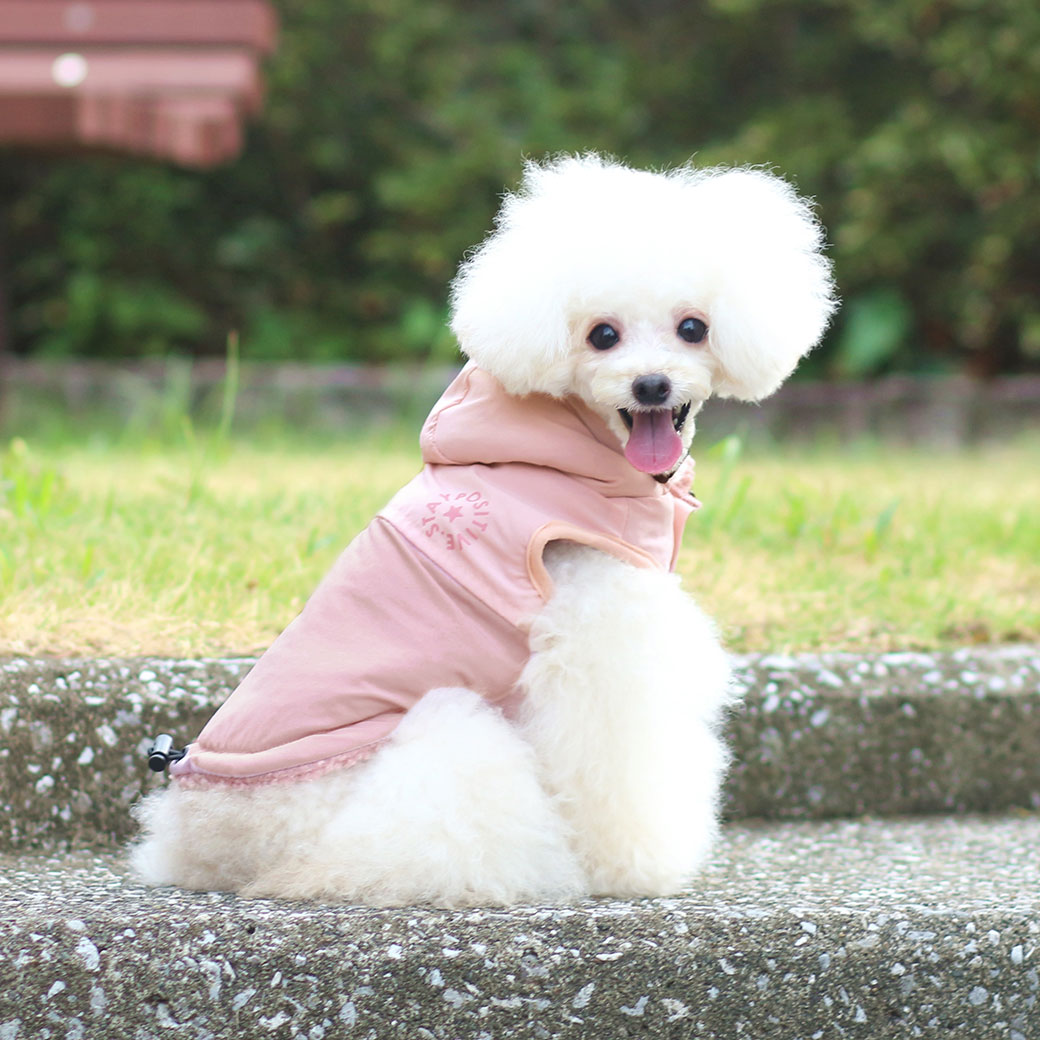iDog SHIELD COAT ウィンドブレーカー 裏ぽか 撥水 アイドッグ-犬猫
