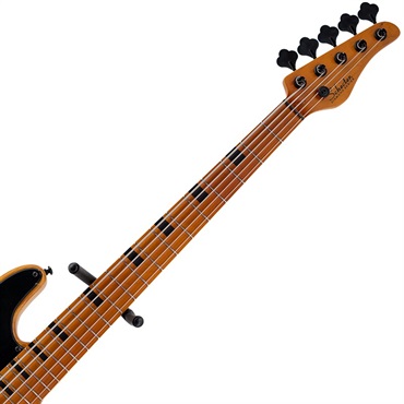 SCHECTER MODEL-T SESSION 5 [AD-MT-SS-5] (ANS) 【半期決算セール