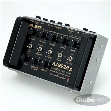 ALBIT 【入荷待ち、ご予約受付中】 A1992B pro Custom [IKEBE Order