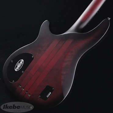 SCHECTER HELLRAISER EXTREME-4 [AD-HR-EX-BASS-4] (CRBS) ｜イケベ