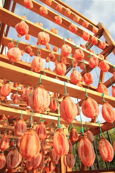 年明け発送 堂上蜂屋柿最高級品「誉」 木箱10個入: ぎふ～JAめぐみの