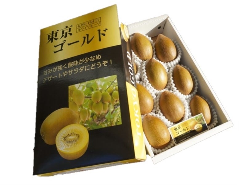 JA静岡市 東京ゴールド（キウイフルーツ 化粧箱11玉入）: ブランド