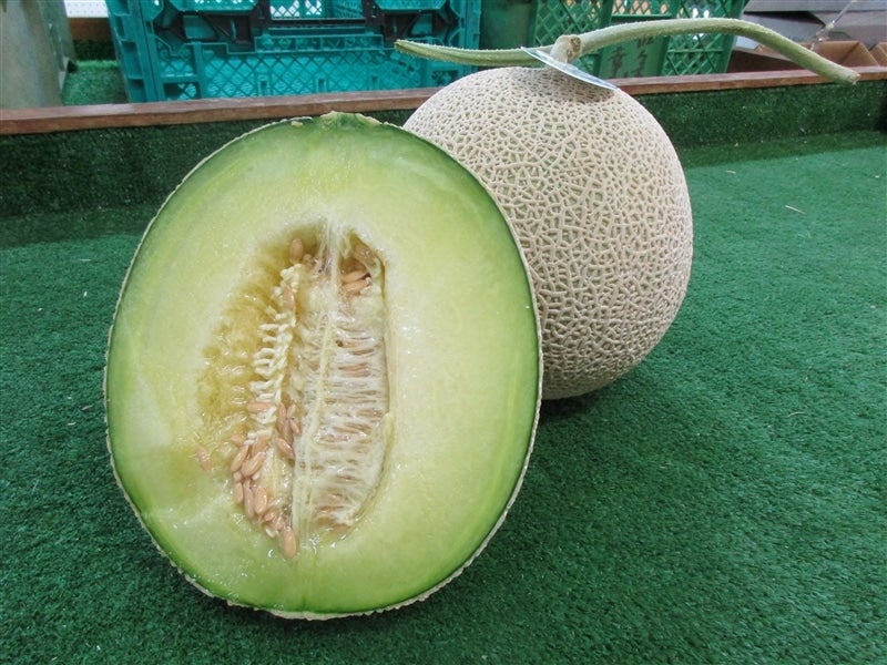 夏季限定】風車メロン ～ミラノ～: 近江の味彩|【JAタウン】産地直送