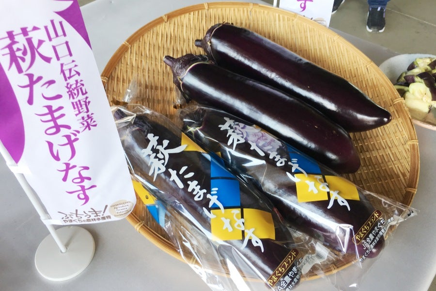 たいした！たまげた！萩たまげなす！見た目も味もたまげます！【15本