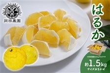 岡宗農園 はるか 約1.5kg 3月1日頃より順次発送: とさのさとアグリ