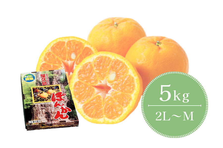 JA種子屋久 屋久島ぽんかん5kg: JA鹿児島県経済連 鹿児島の味