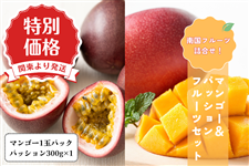 鹿児島県産マンゴー＆パッションフルーツセット【関東より発送】: JA