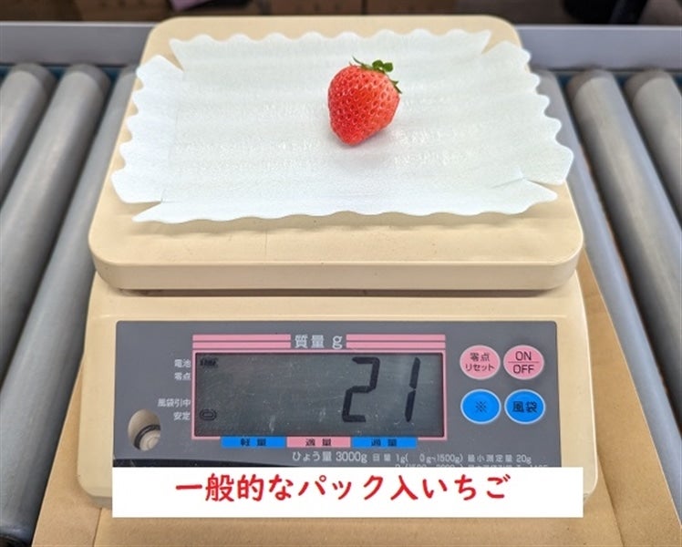 糖蜜使用の「こだわりいちご」 ひのしずく: きくちのまんまJAタウン