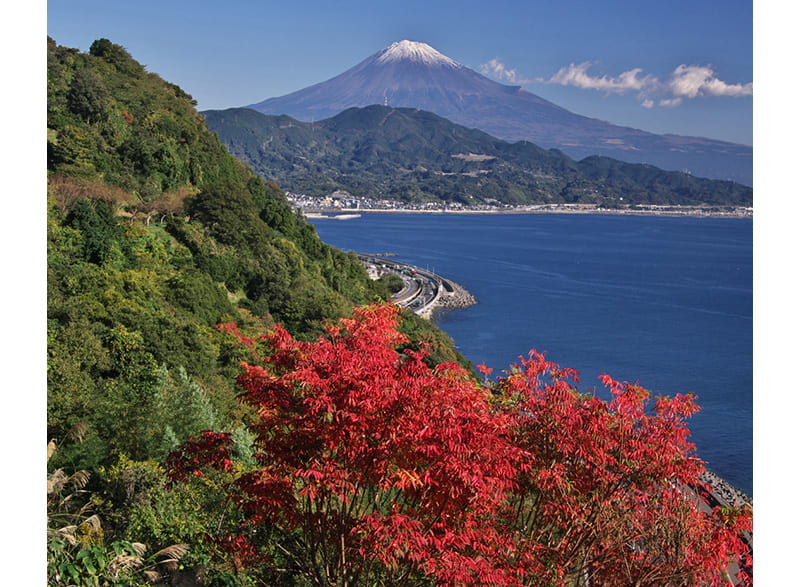 歌川広重「東海道五十三次」で描かれた富士山をさった峠から望む|日本