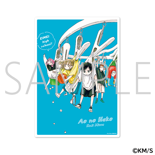 ルリドラゴン 応募者全員サービス 色紙 ジャンプフェスタ 2025