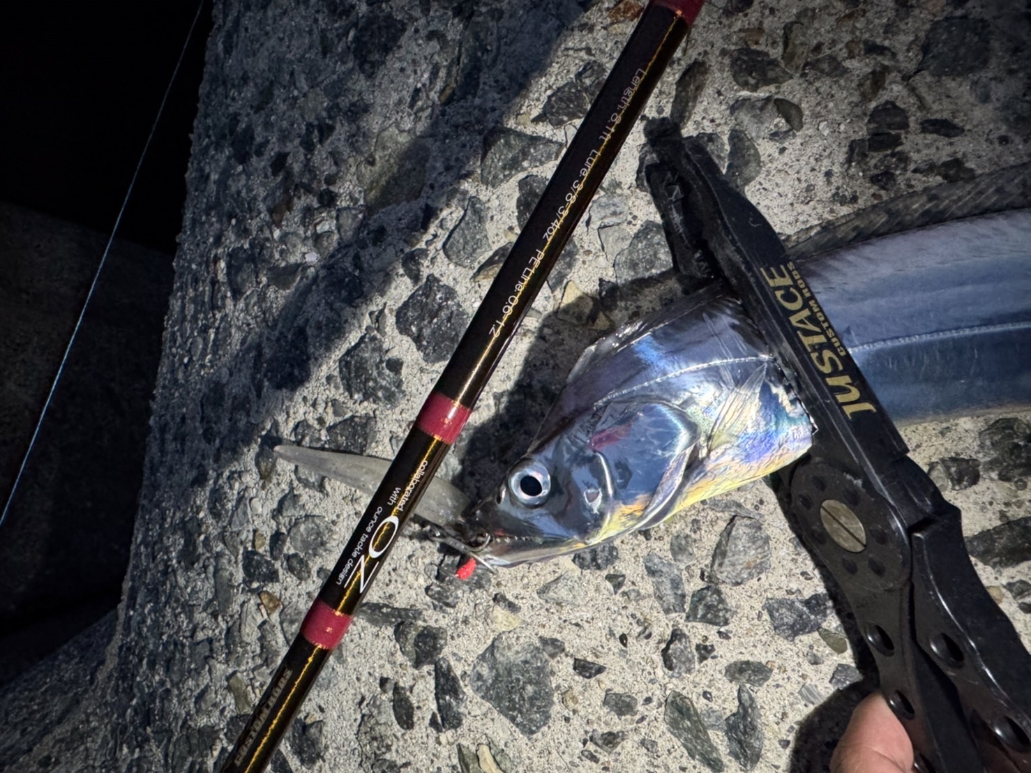 Shore WINDER TZ ADVANCE[OZタックル コラボ] | ジャストエース