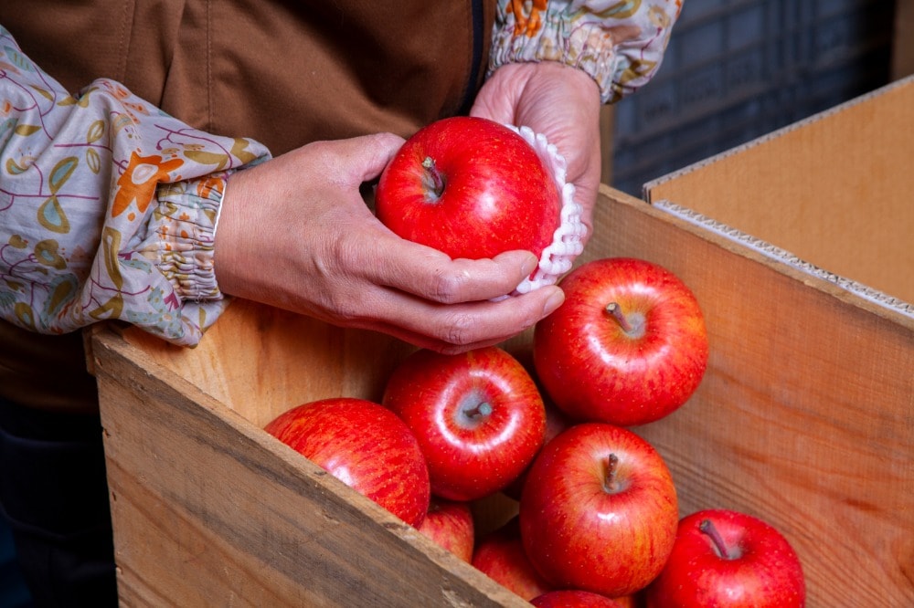 弘前・鬼沢おに太郎りんごの会の栽培のこだわり｜JGAP認証取得｜青森