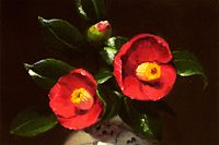 五味悌四郎 | 作品一覧 絵画など美術品の販売と買取 | 東京・銀座 おい