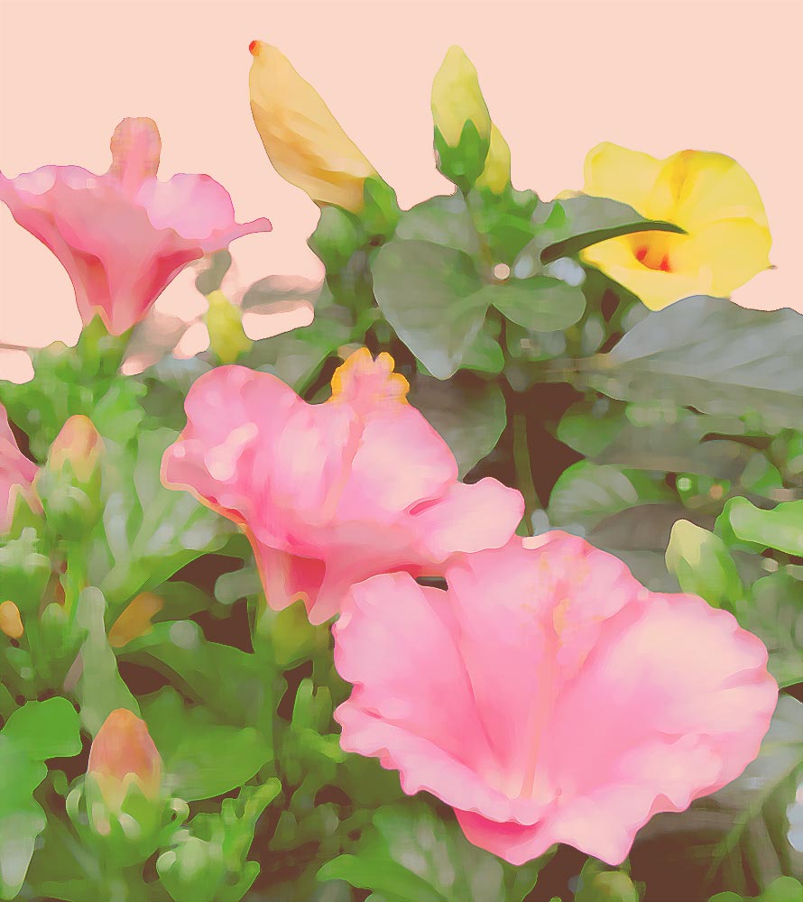 五味悌四郎、絵画、油彩SM号、椿、備前壺、新品額縁、肉筆、片岡球子、