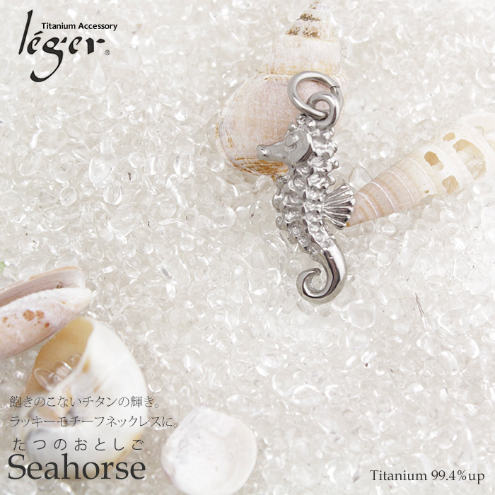 チタンペンダントトップ シーホース(タツノオトシゴ)｜leger レジエ T134