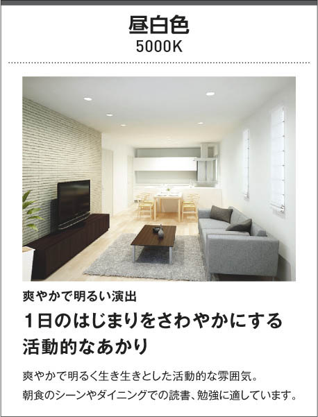 KOIZUMI コイズミ照明 間接照明 AL47191L | 商品紹介 | 照明器具の通信