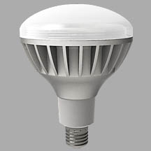 東芝 TOSHIBA LED電球 チョークレス水銀ランプ形 19.0W LDR100/200V19N