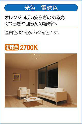 DAIKO 大光電機 ダウンライト(軒下兼用) DDL-6102YW | 商品紹介 | 照明