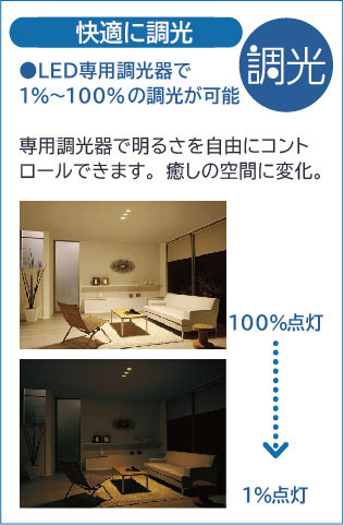 DAIKO 大光電機 小型ペンダント DPN-41485YG | 商品紹介 | 照明器具の