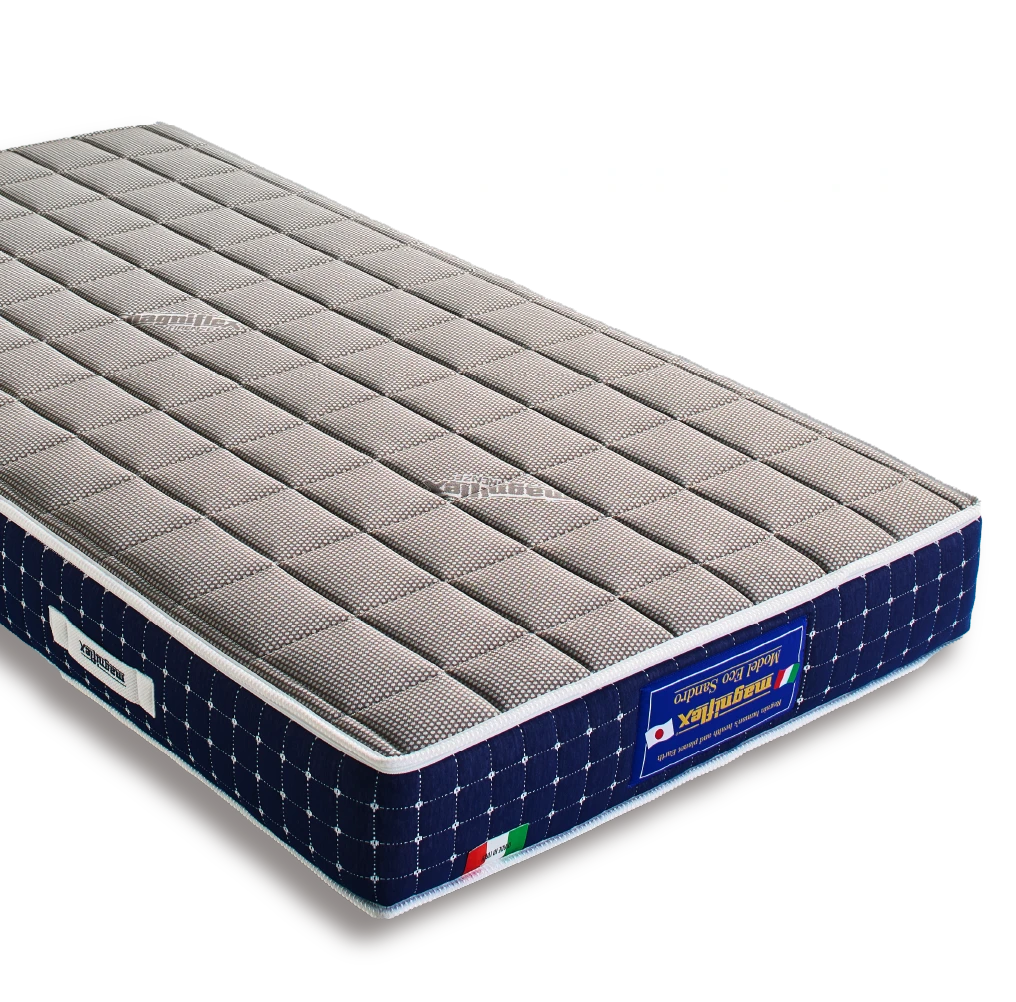 magniflex 日本上陸30周年記念限定モデル EcoSandro