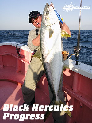 Black Hercules 795S マングローブスタジオ キハダ　ヒラマサ Mangrove Studio > Black Hercules /Progress